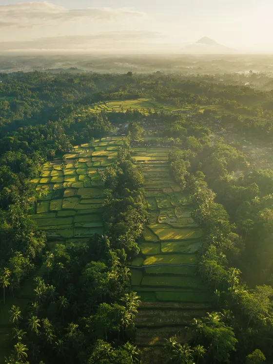 Destination guide: Indonesia