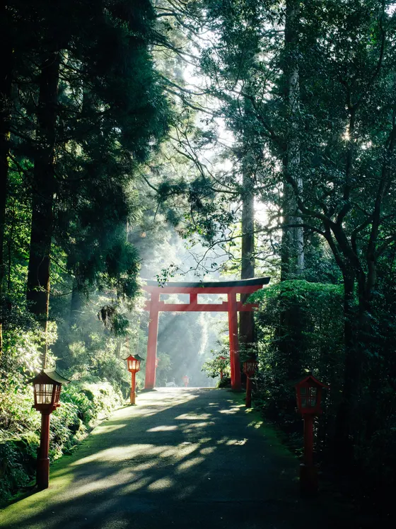 Destination guide: Japan