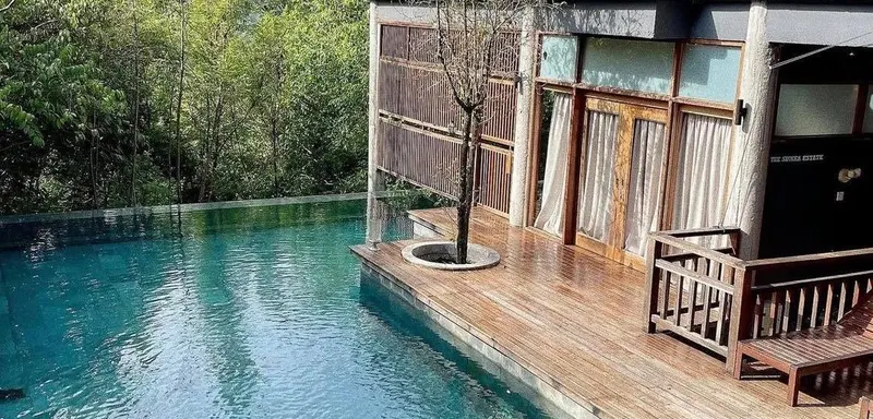 The Shorea